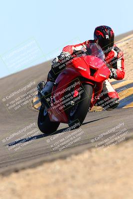 media/Feb-12-2022-SoCal Trackdays (Sat) [[3b21b94a56]]/Turn 12 (140pm)/